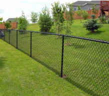 A chain link fence surrounds a lush green yard.