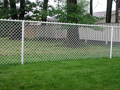 A chain link fence surrounds a lush green yard.