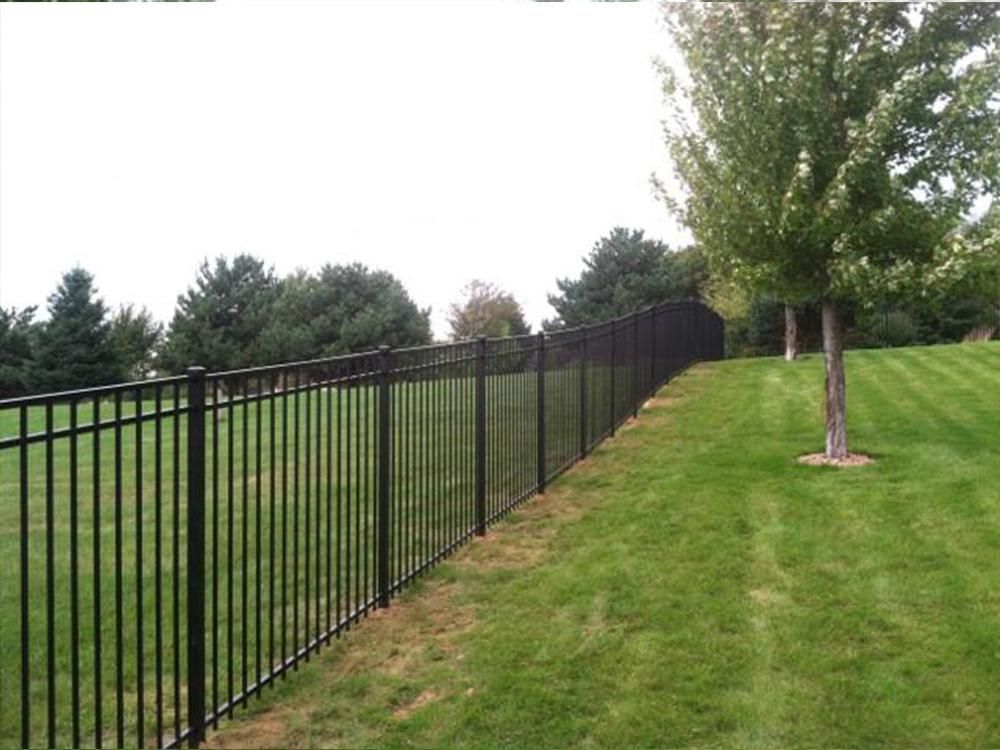 A black fence surrounds a lush green field