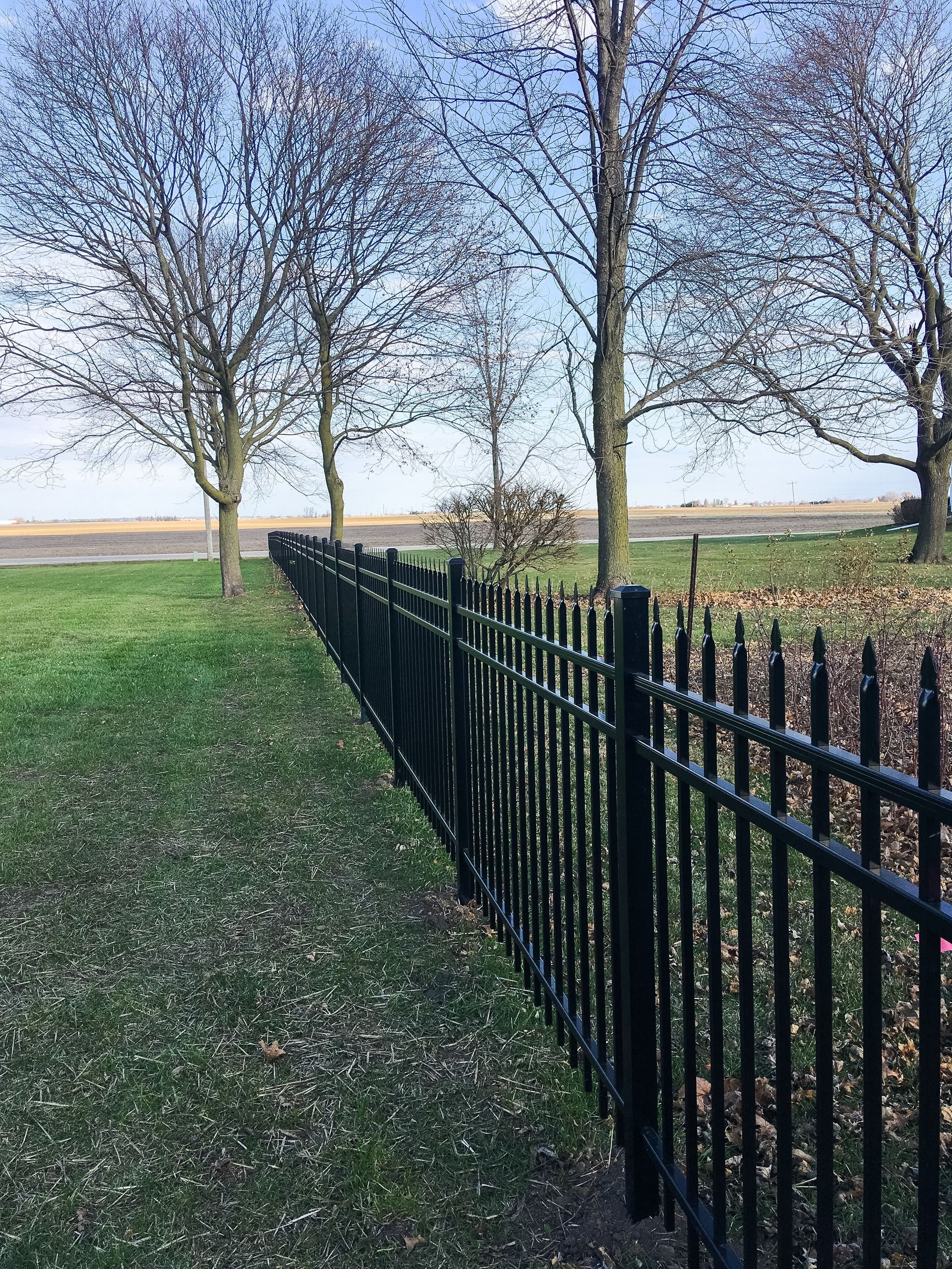 A black fence surrounds a grassy field with trees in the background.
