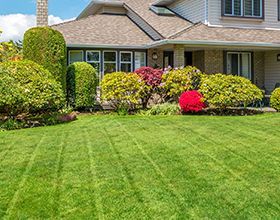 A house with a lush green lawn and bushes in front of it.