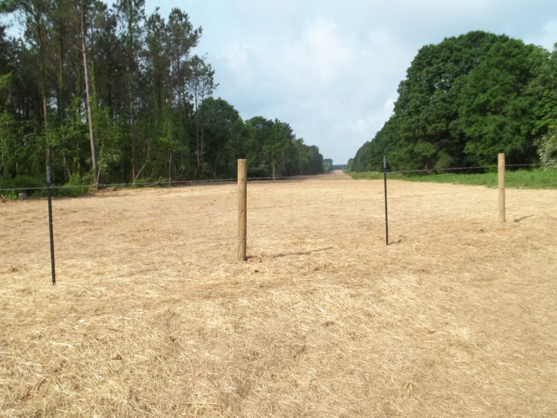 A field with a fence and trees in the background