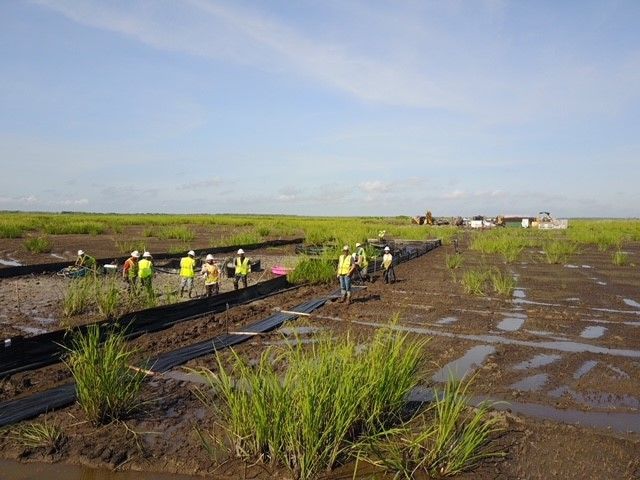 A group of people are standing in a muddy field.