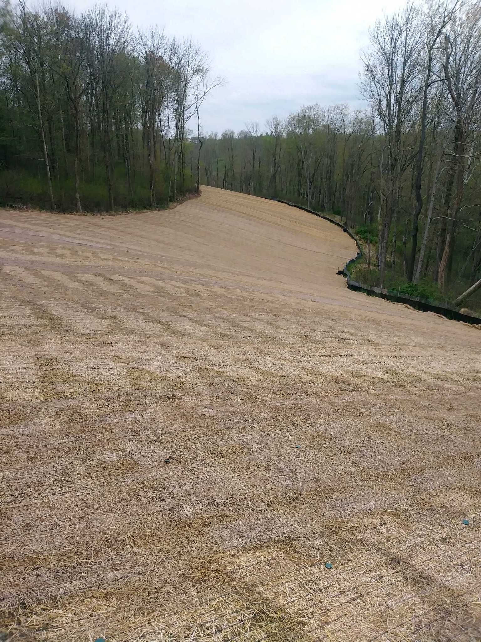 A dirt road going through a forest with trees in the background.