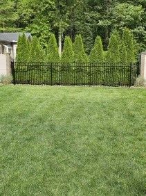 A lush green lawn with a black fence and trees in the background.
