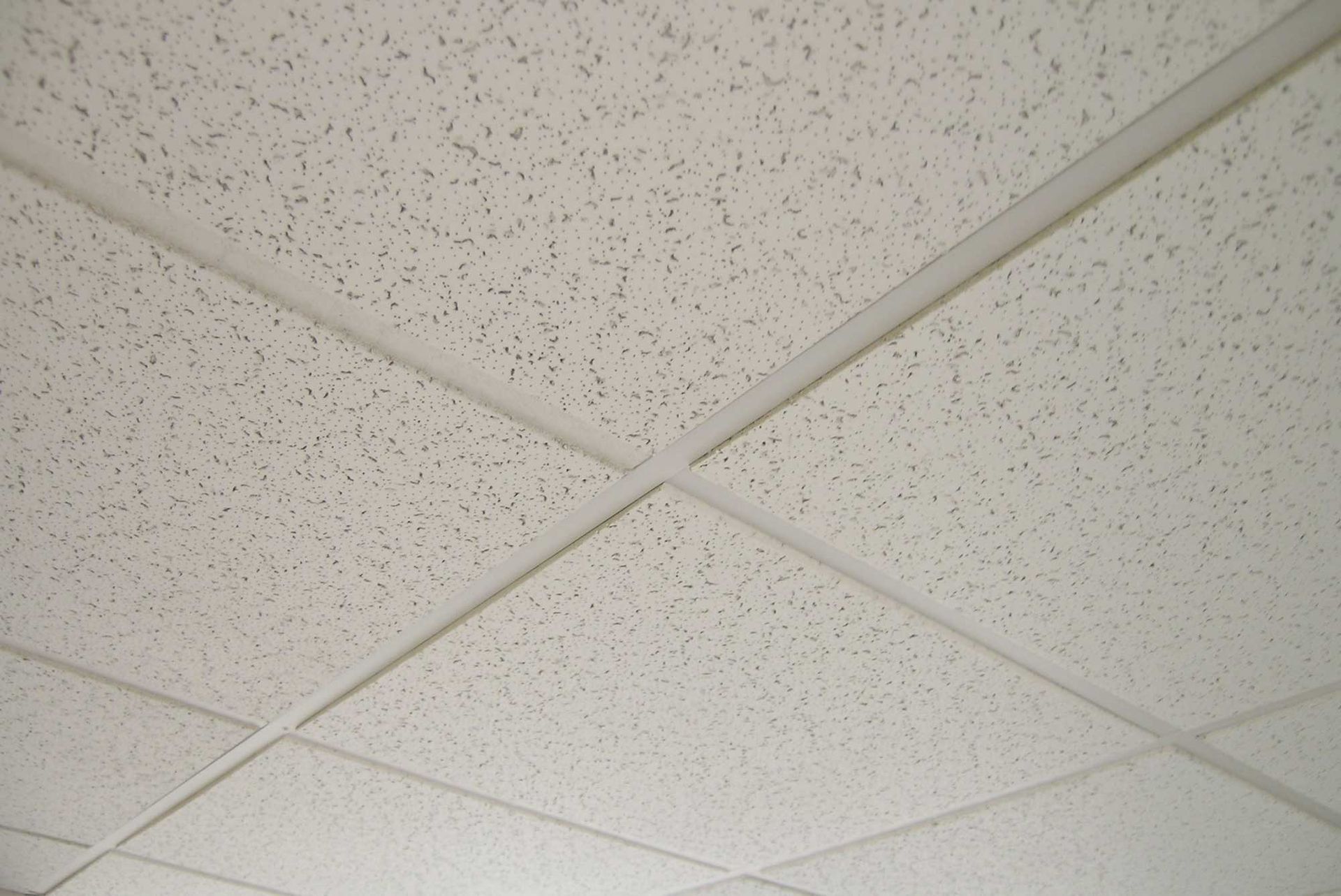 White acoustic ceiling tiles with a grid pattern.