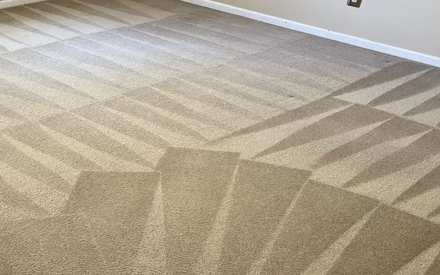 All American Carpet Cleaning | Cleaners | Olathe, KS