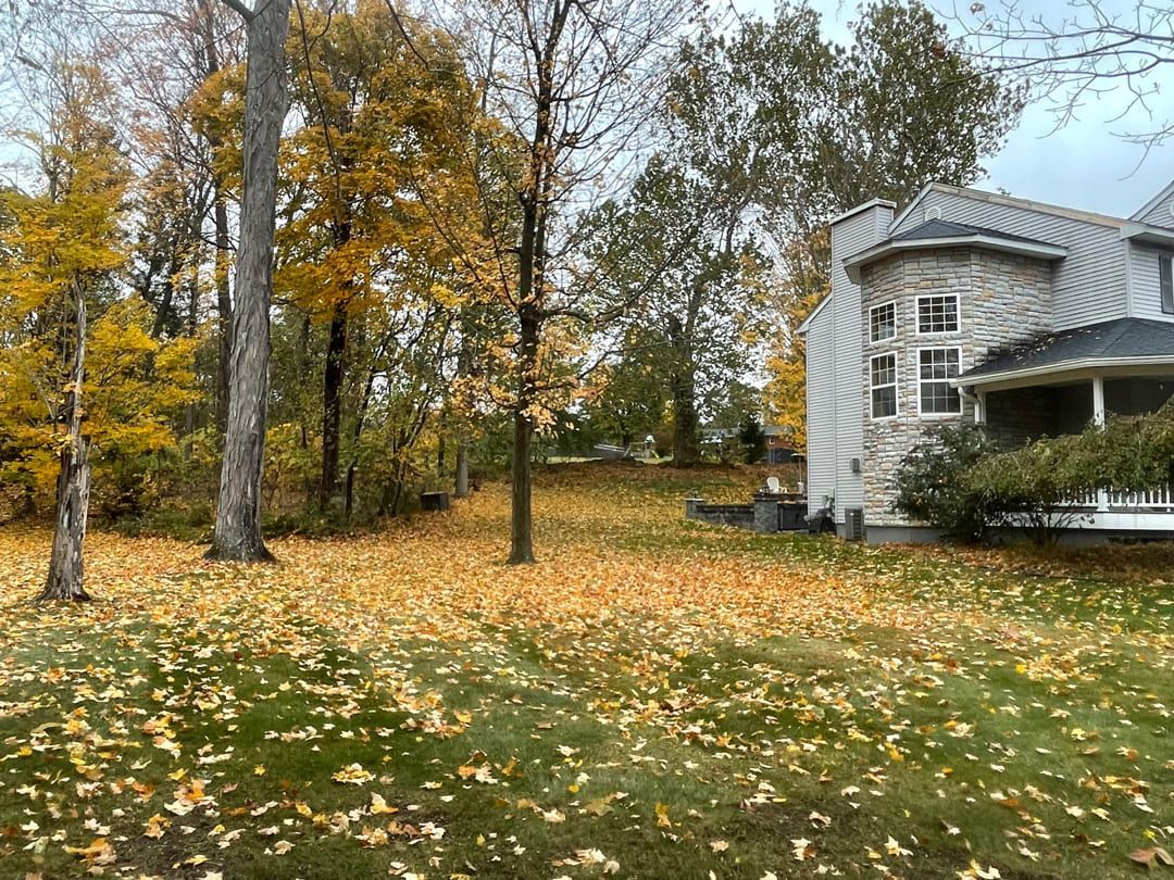 A house with stone and siding sits next to a lawn covered in yellow fallen leaves during autumn.