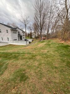 A two-story house with a deck sits beside a sloped, grassy lawn bordering a wooded area under a cloudy sky.