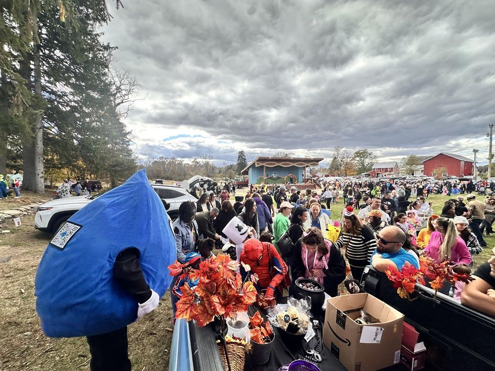 A crowd gathers for an outdoor event, featuring a large blue mascot, a person in a spider costume, and decorated tables.