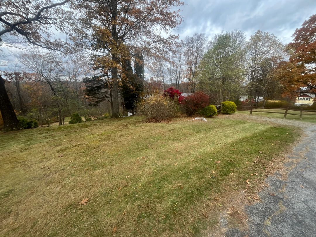 A grassy lawn stretches toward a row of trees with autumn foliage under a cloudy sky, bordering a gravel driveway.
