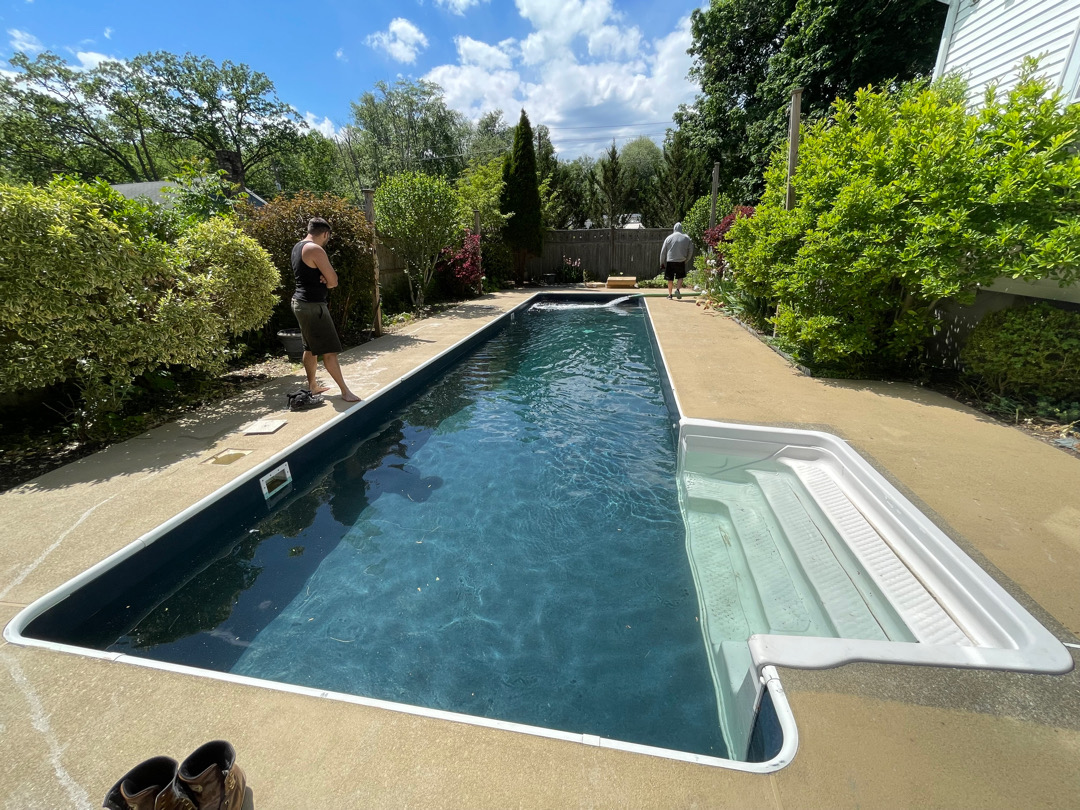 A backyard rectangular swimming pool with green water and fallen leaves, surrounded by a stone patio and trees.