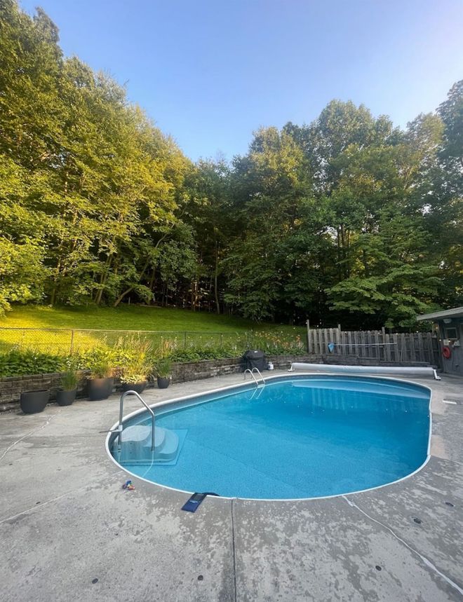 An oval swimming pool with bright blue water, set in a concrete patio surrounded by lush green trees on a sunny day.