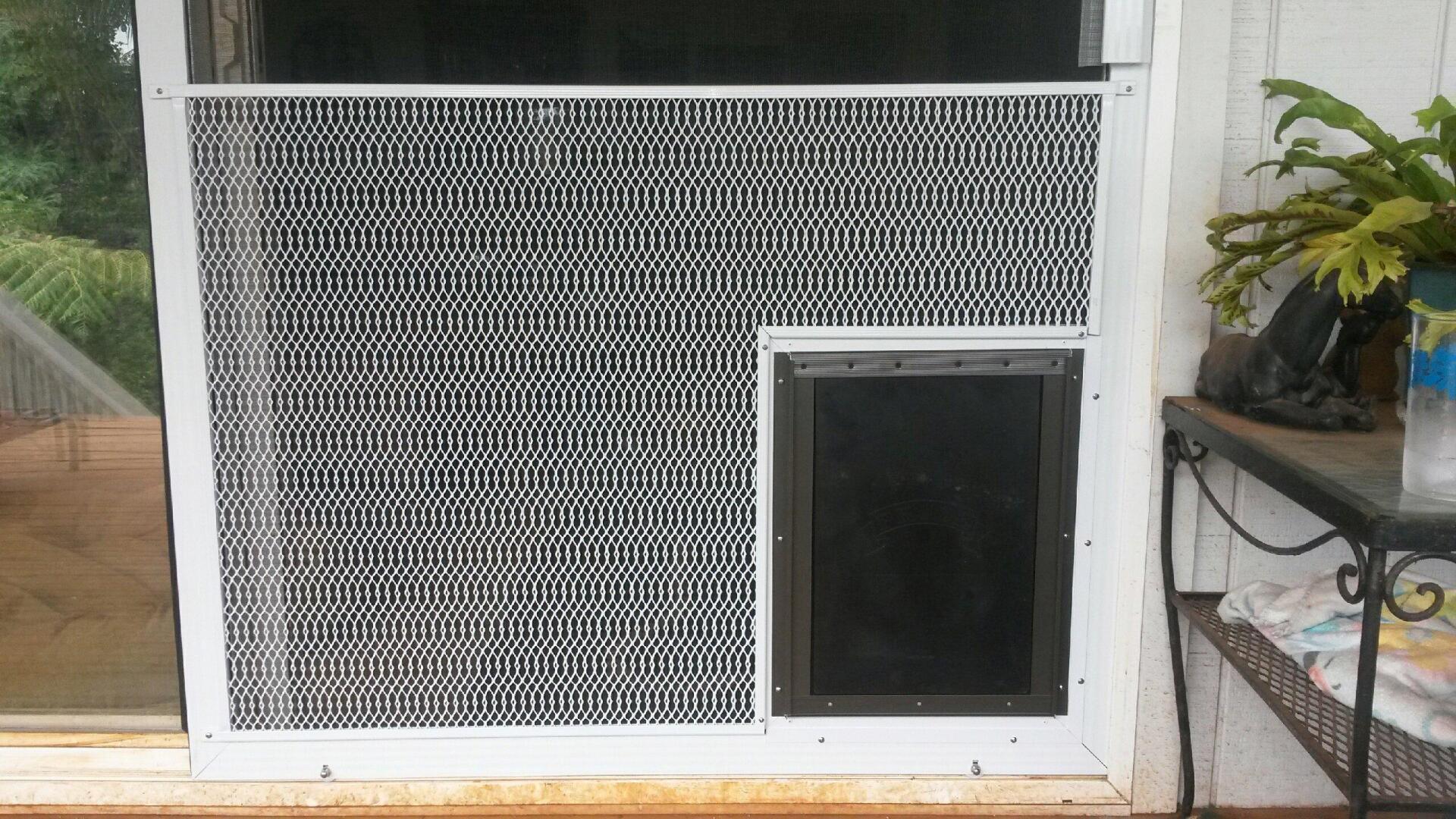 Door screen