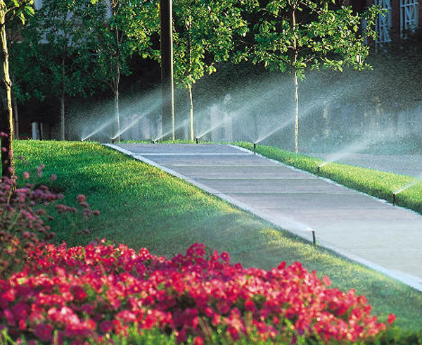 Irrigation and Drainage