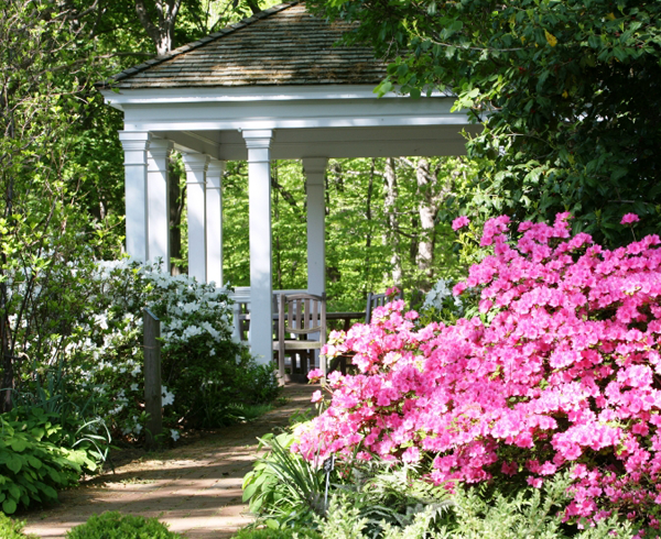 Landscape Maintenance