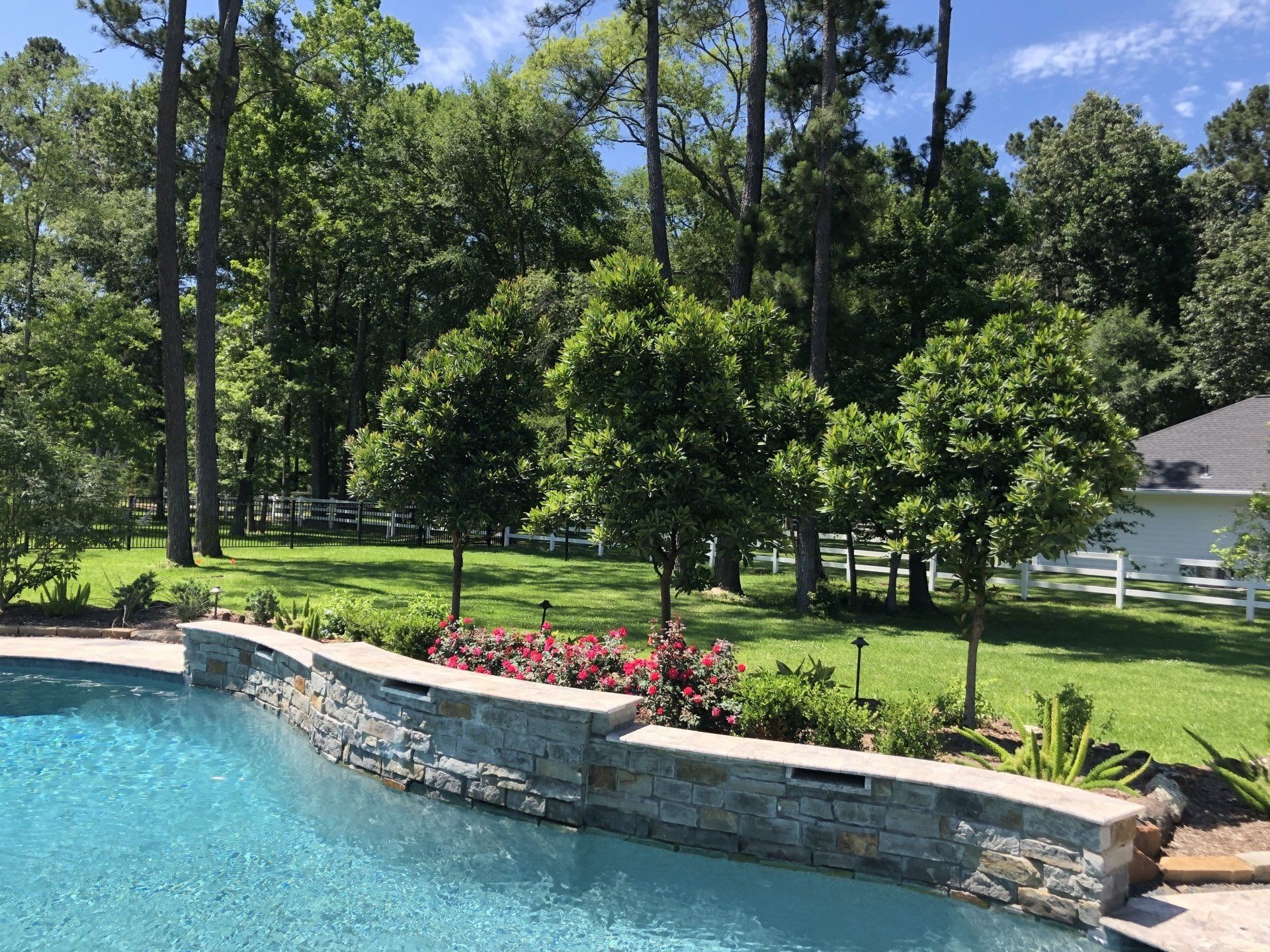 Backyard pool with stone wall, pink flowers, green lawn, and trees under a sunny sky