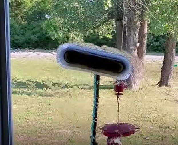 Learn More About 100% Pure Water System 100% Pure Water System