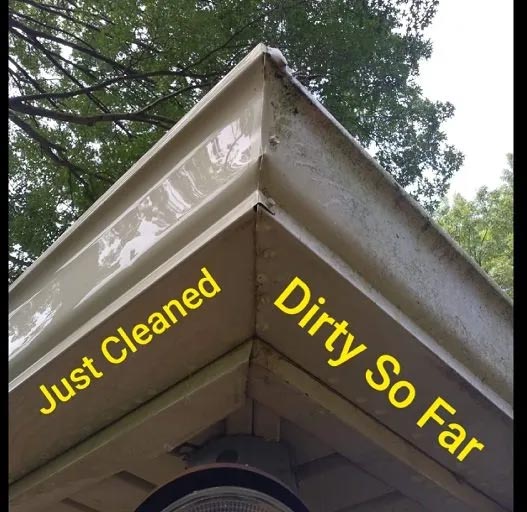 Before and After Cleaning