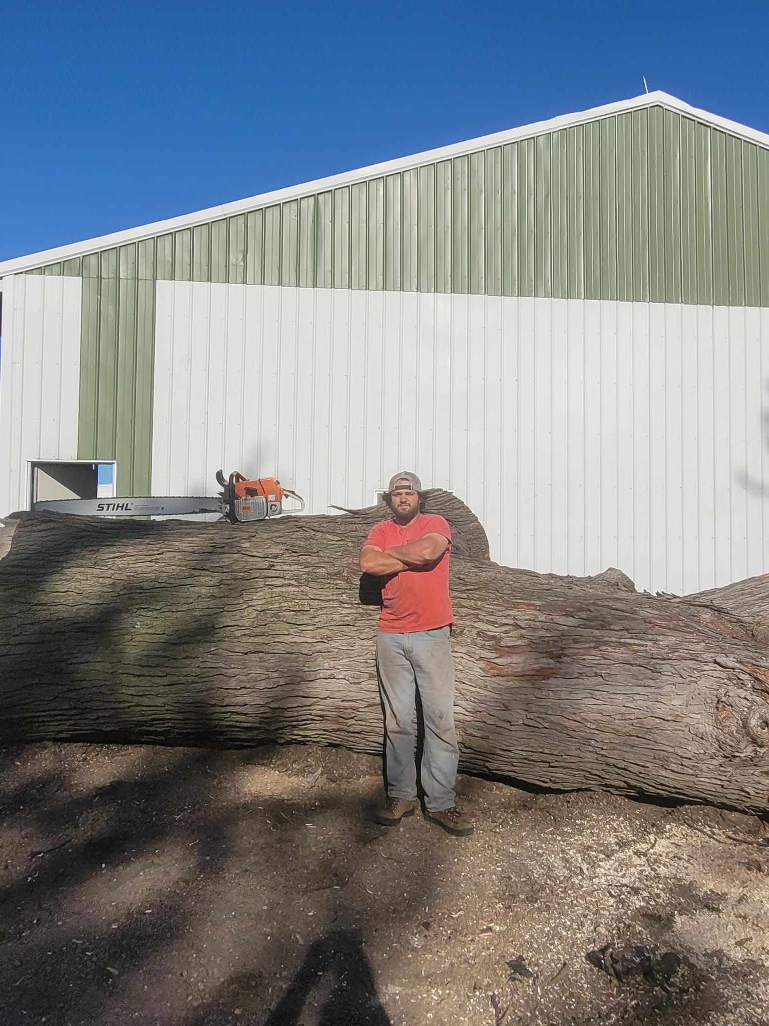Man standing next to a large tree trunk