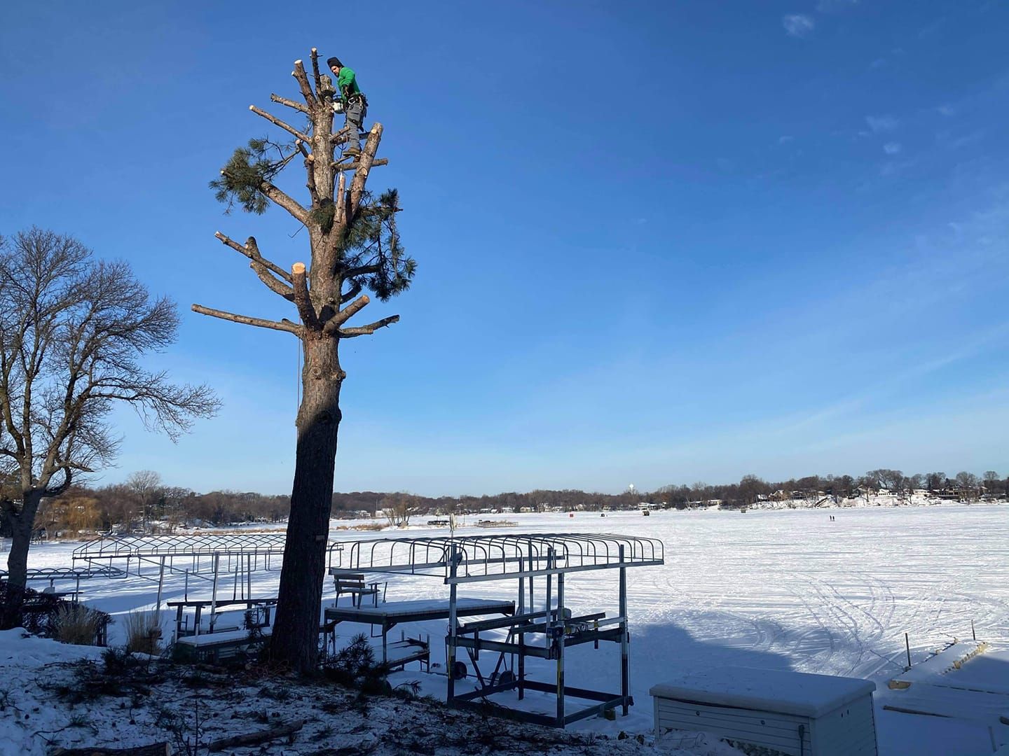 Man at the top of the tree