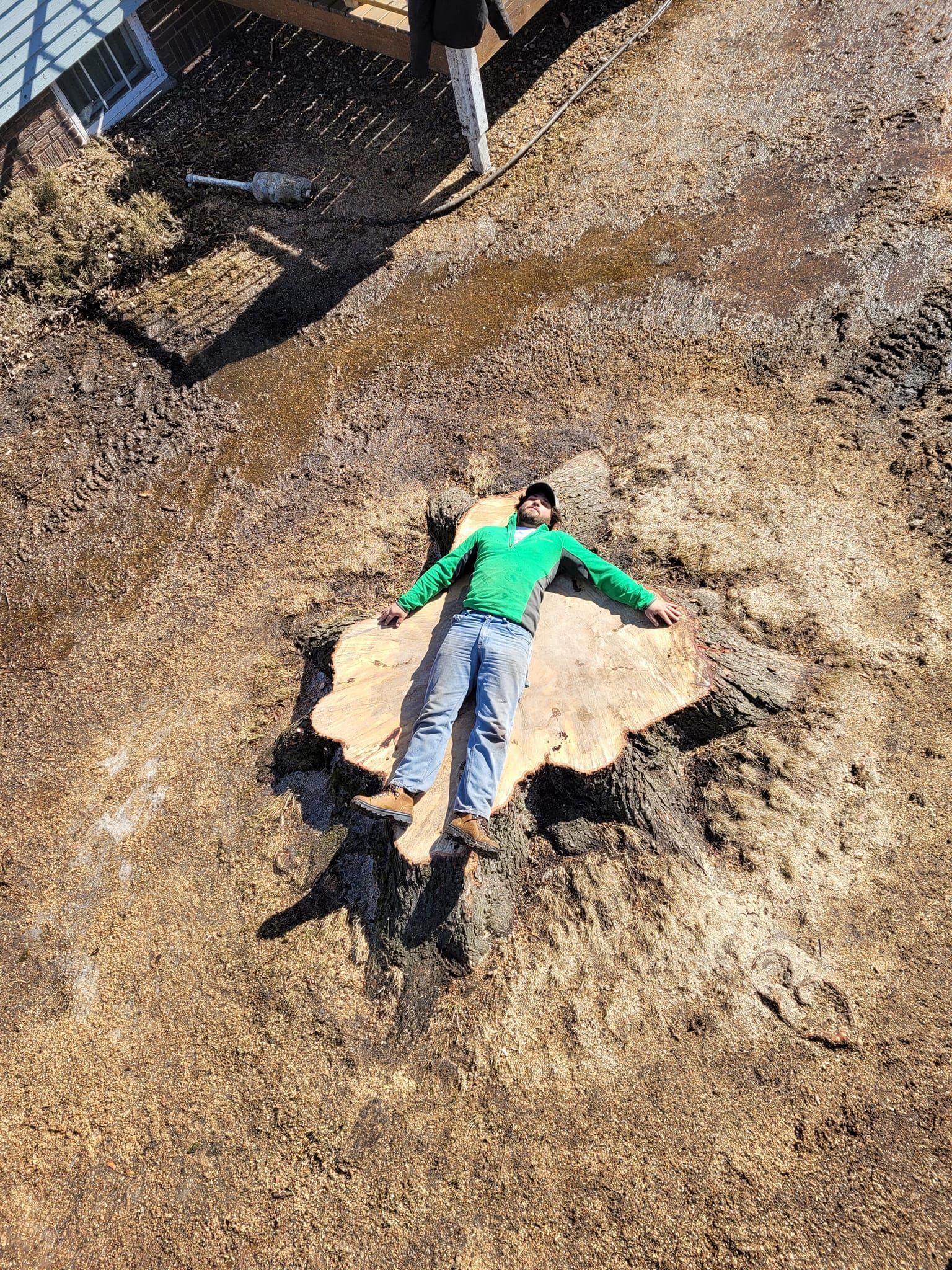 Man laying across the large stump