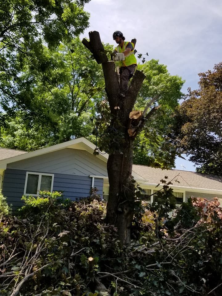 Man with yellow vest