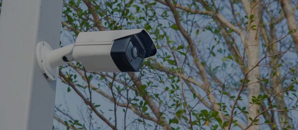 A security camera is mounted on a pole next to a tree.