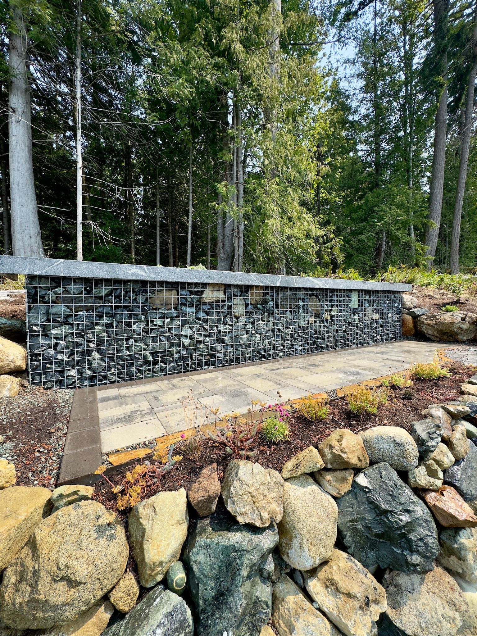 A stone wall in the middle of a forest with trees in the background.