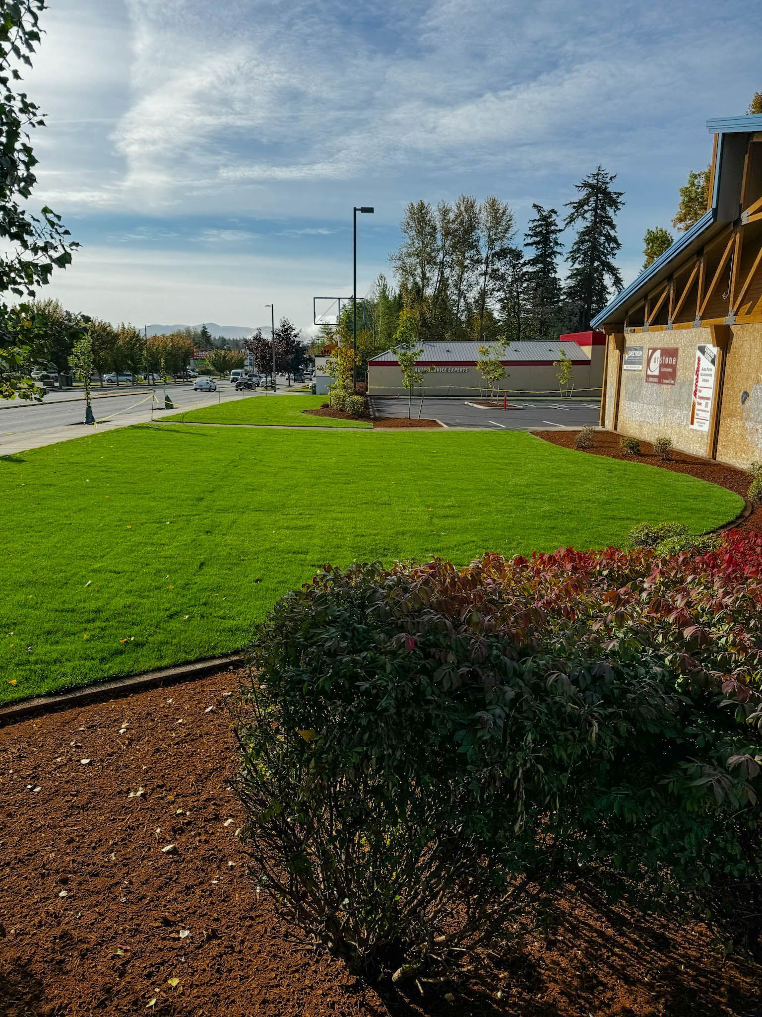 A lush green field with a building in the background
