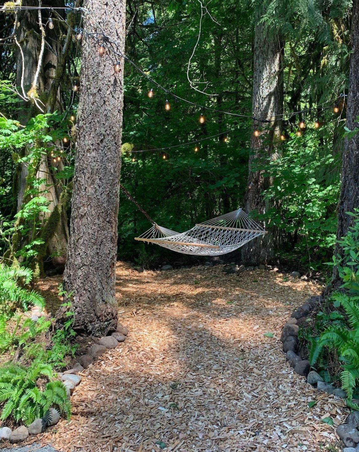 A hammock is hanging between two trees in the woods.