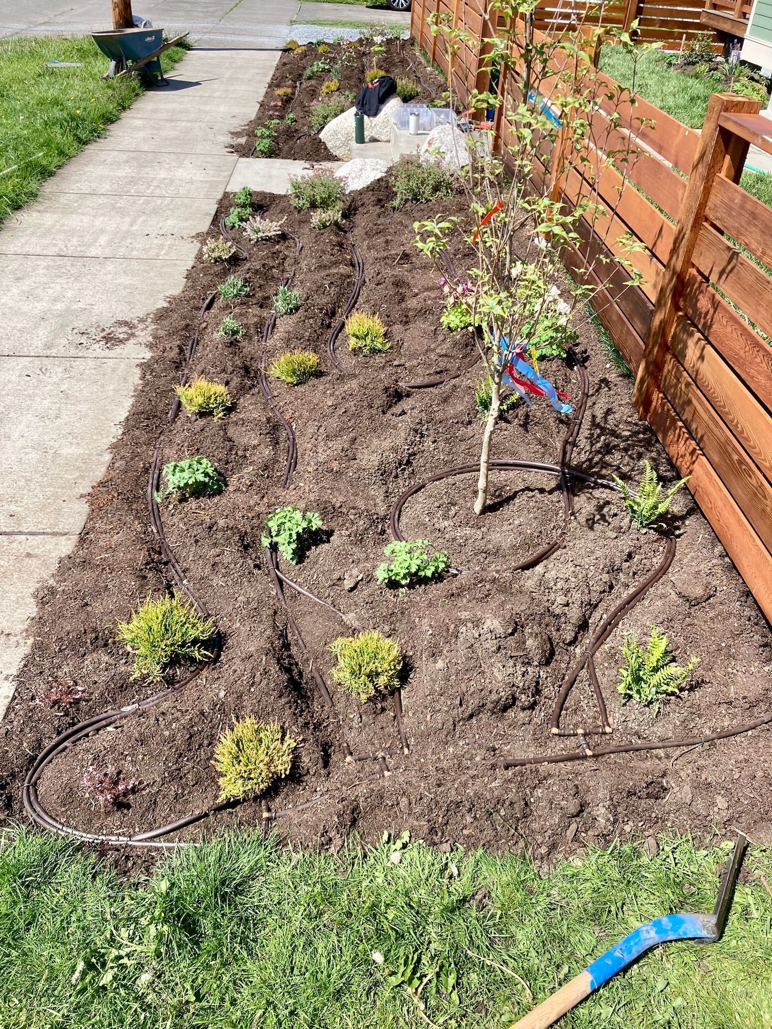 A garden is being built next to a wooden fence.