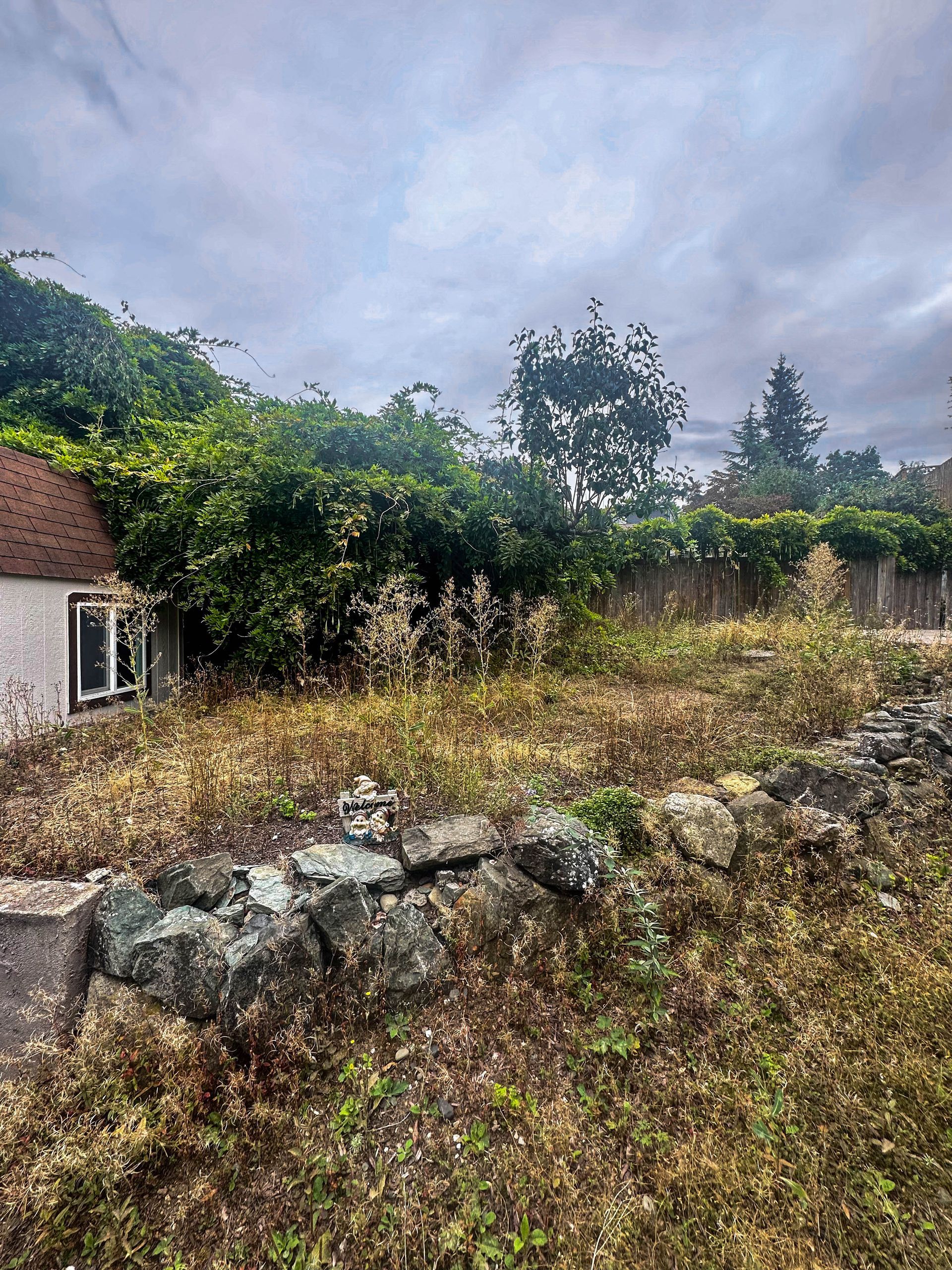There is a house in the background and a stone wall in the foreground.