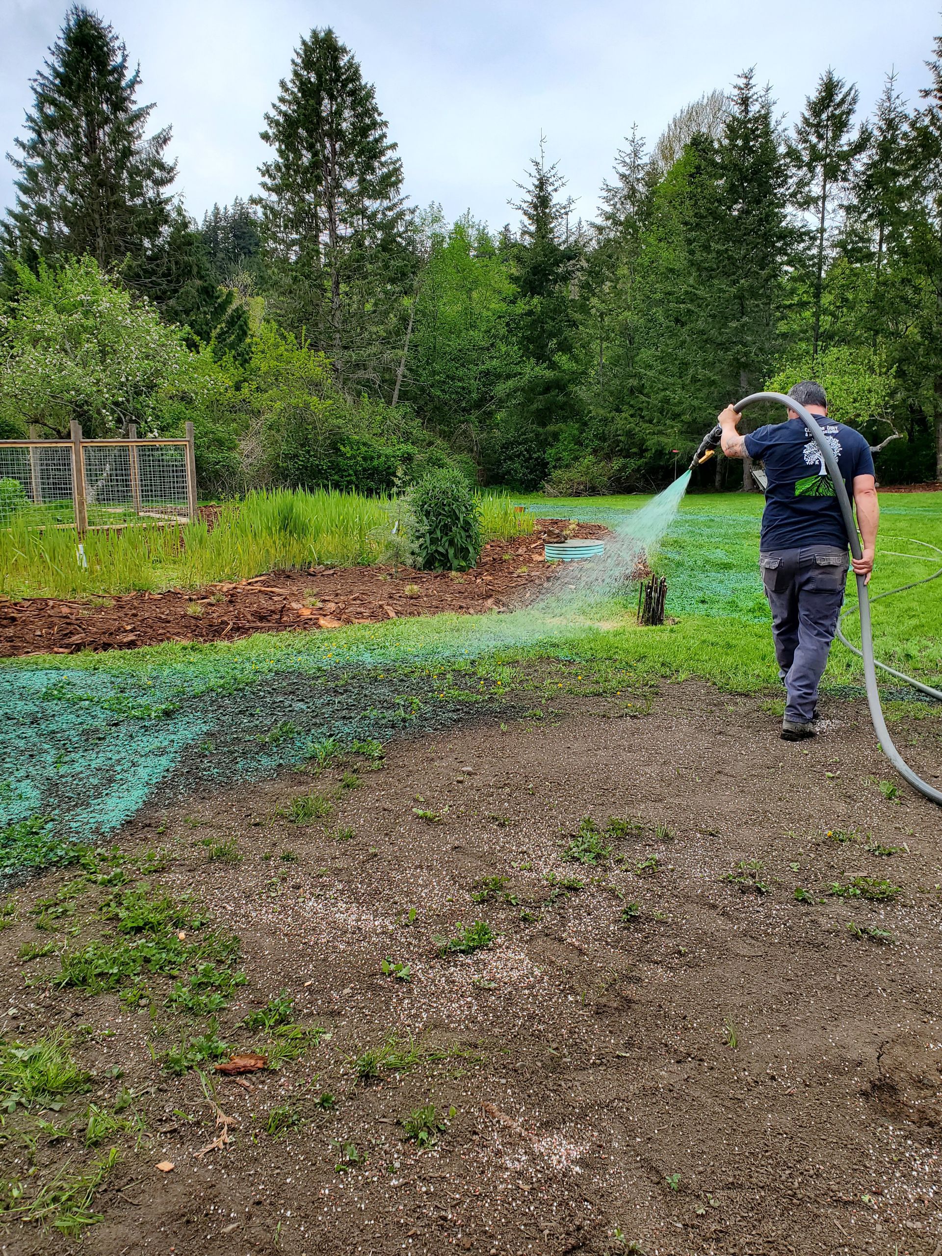 A man is spraying a field with a hose.