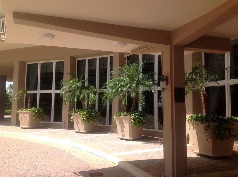 Covered patio entrance with potted plants in front of large windows.