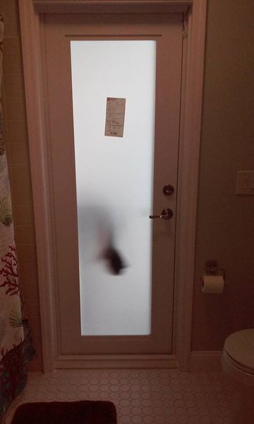Frosted glass door in a bathroom with a blurry figure visible. A note is attached to the door.