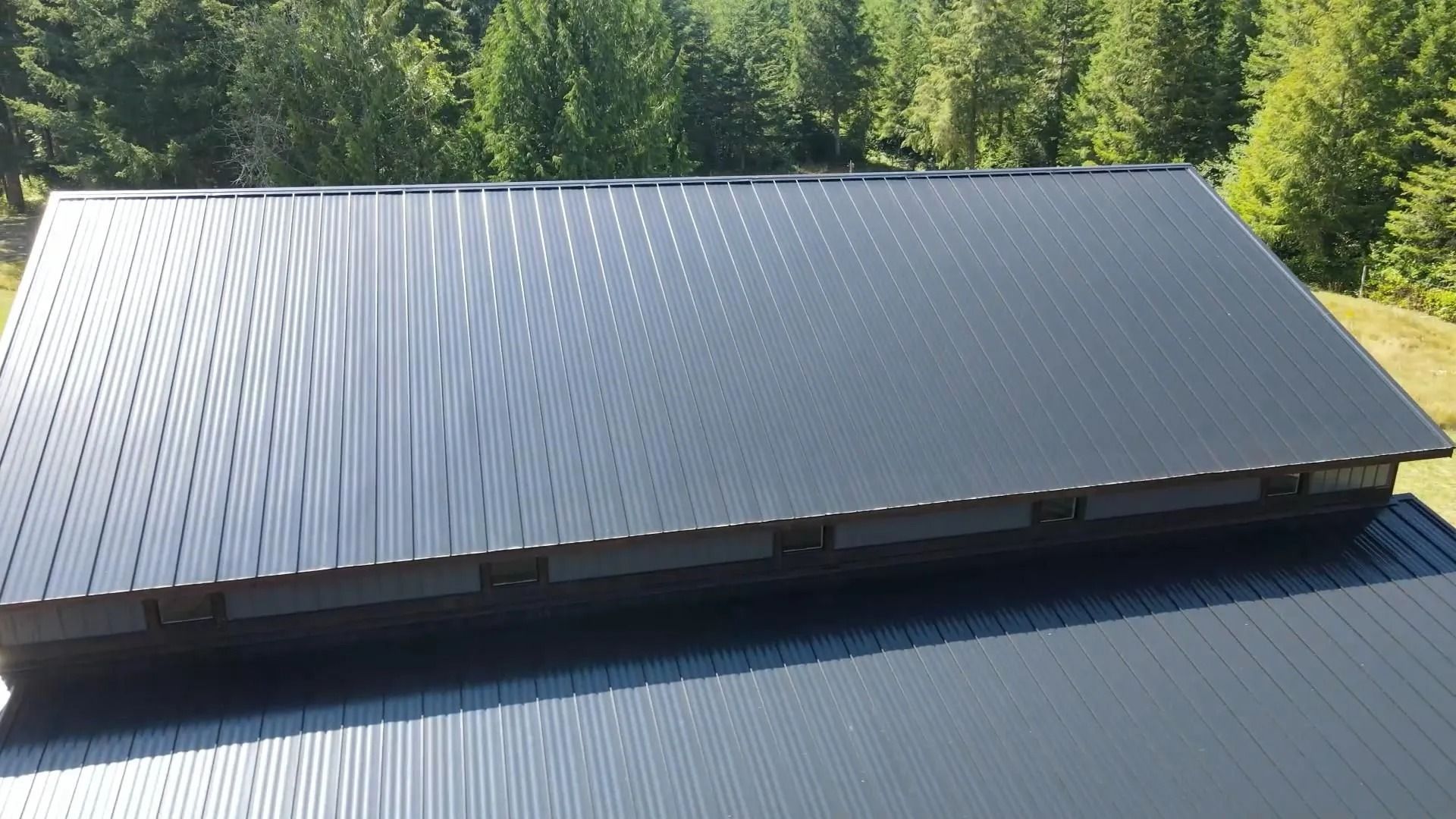 Black metal corrugated roof against a backdrop of green trees.