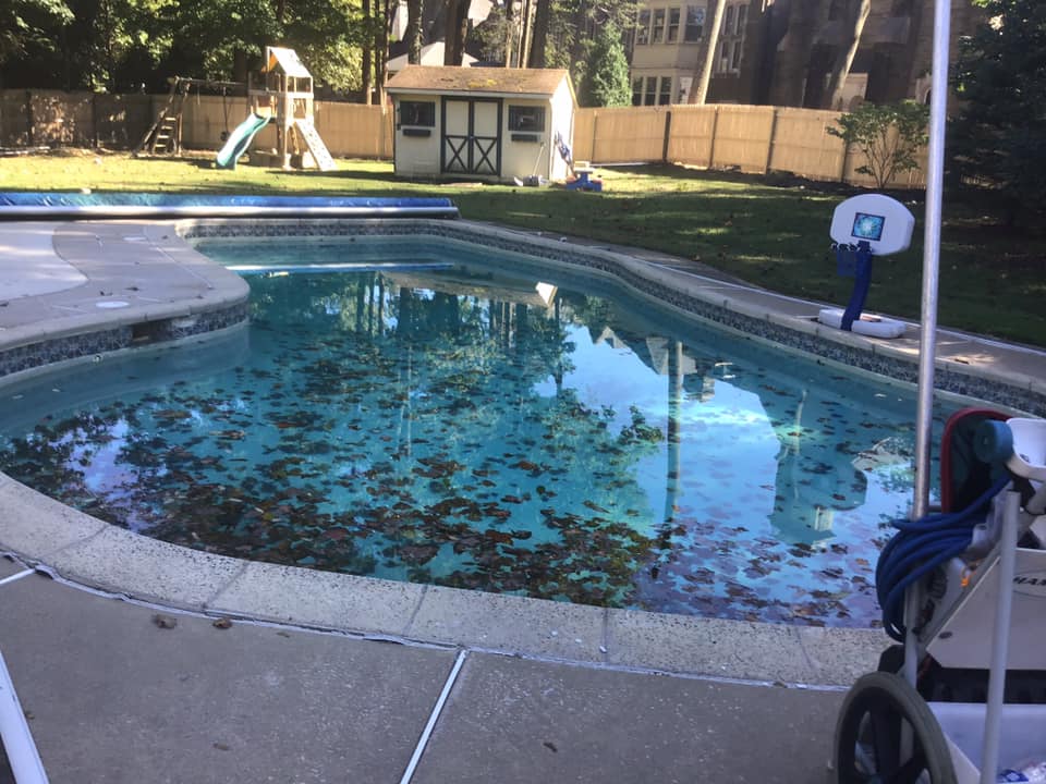 Swimming pool cleaning