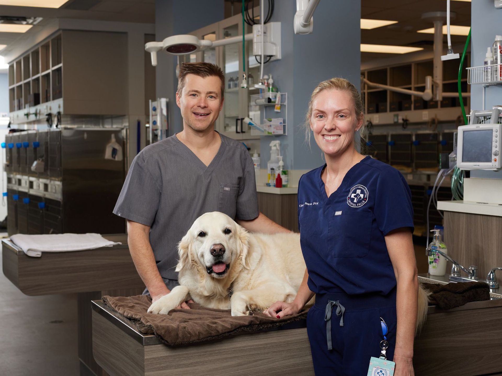 Veterinarians with a dog