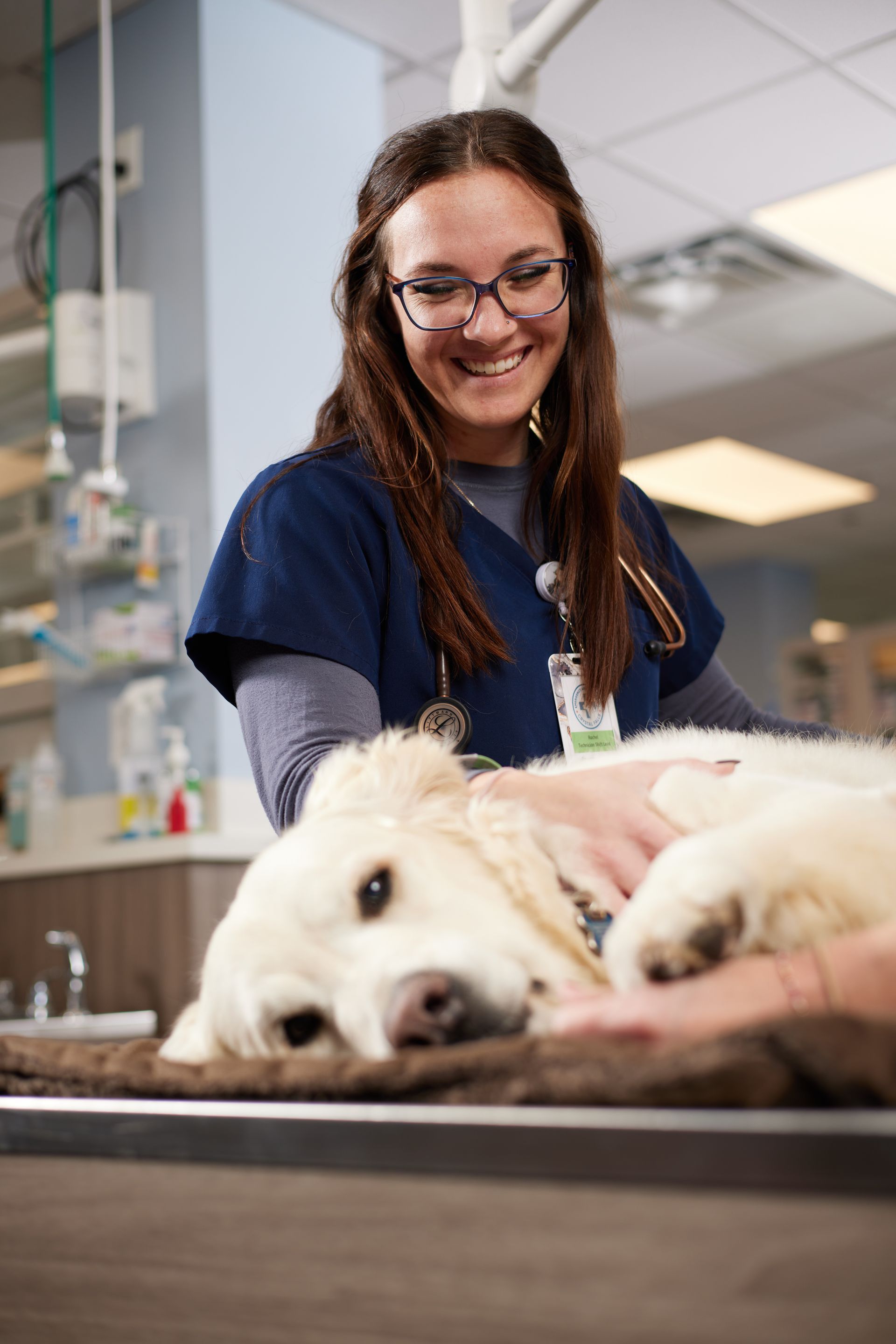Veterinarian holding a dog