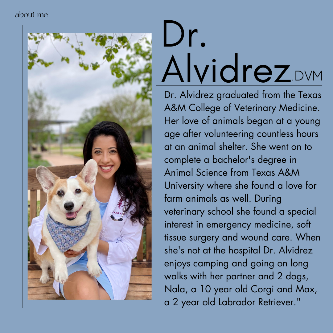 Dr. Alvidrez