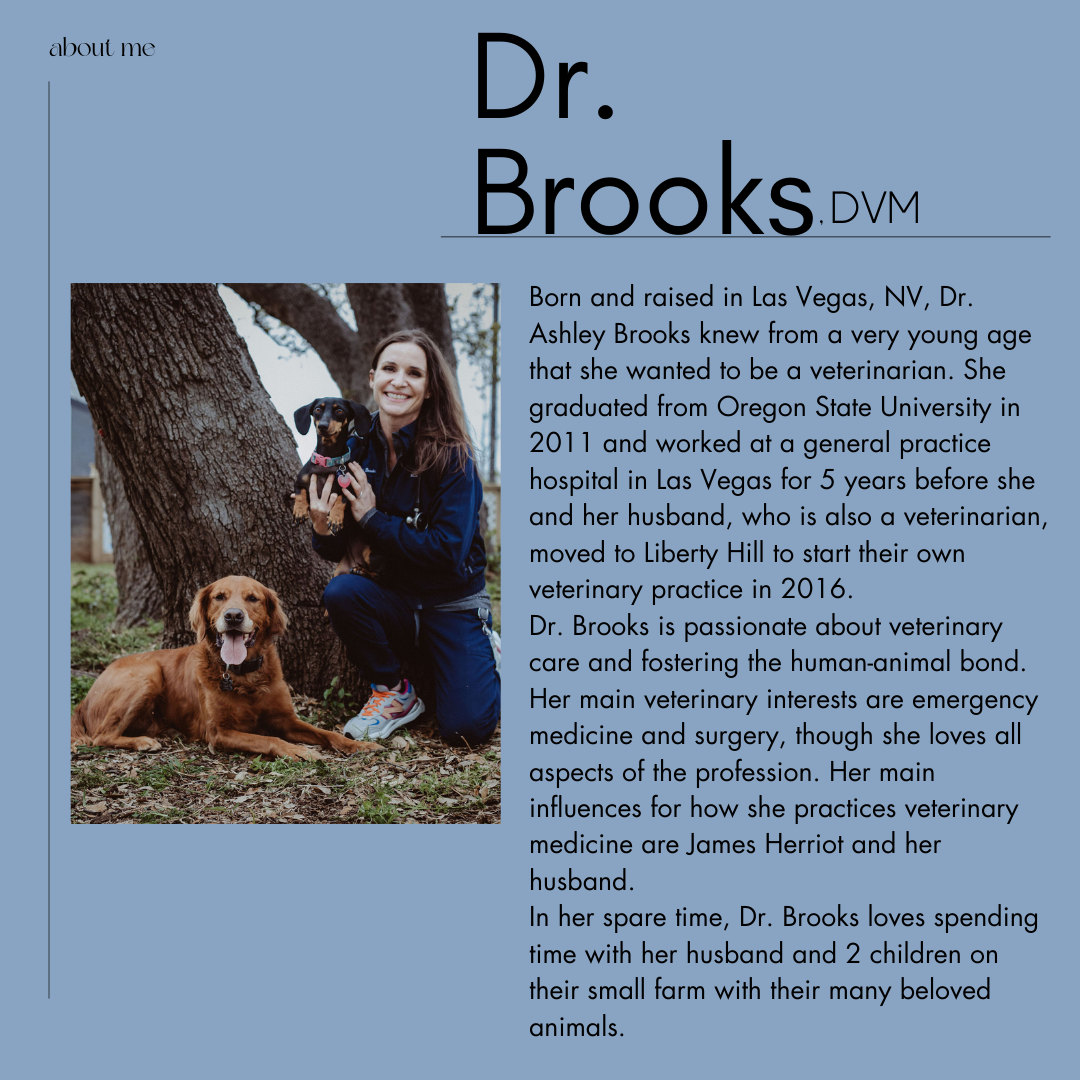 Dr. Brooks