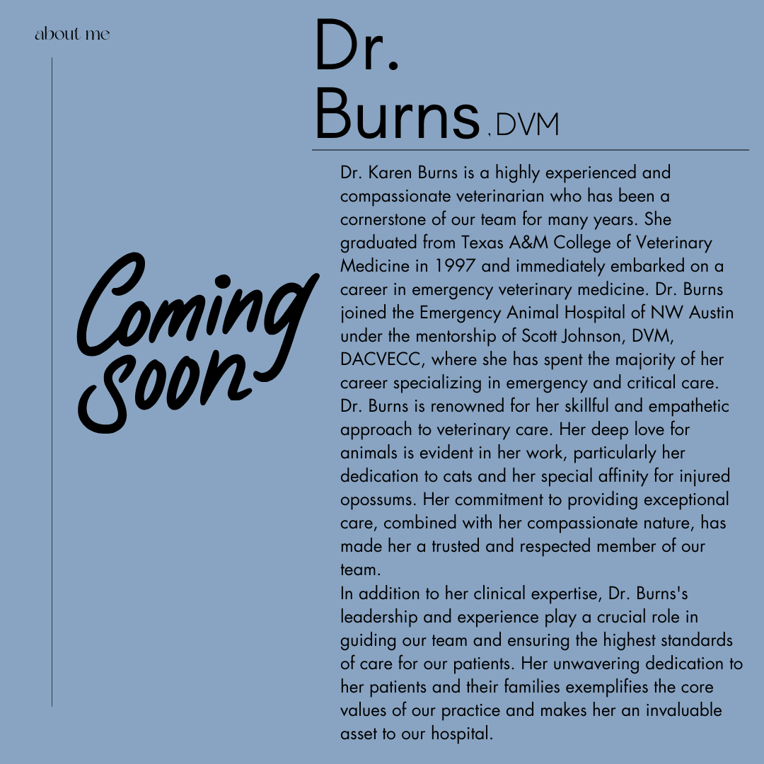 Dr. Burns