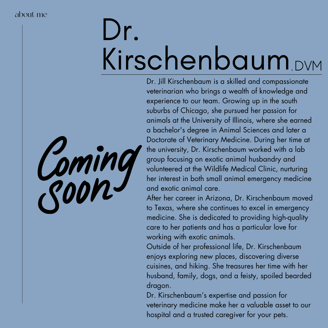 Dr. Kirschenbaum