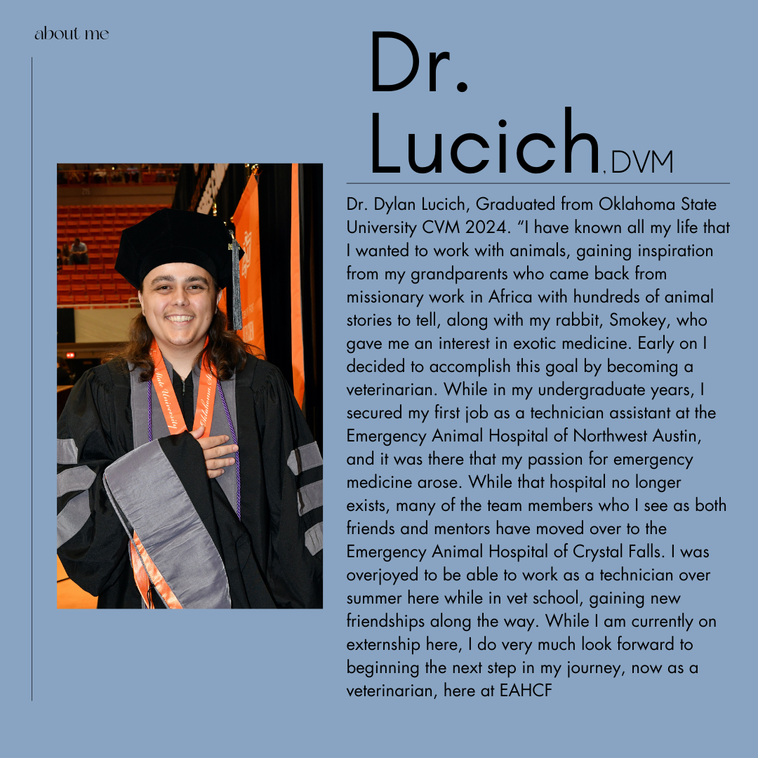 Dr. Lucich