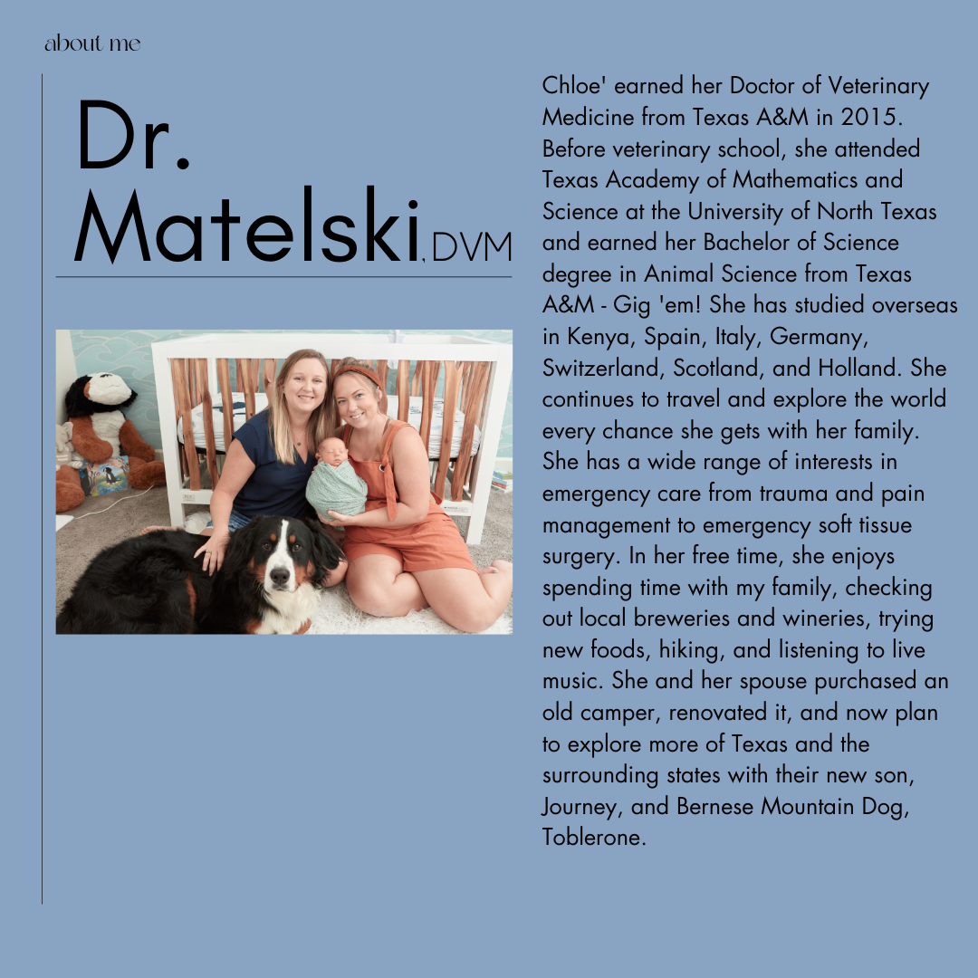 Dr. Matelski