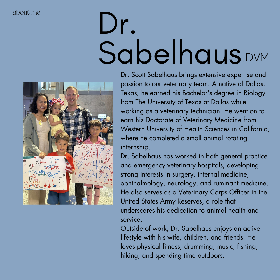 Dr. Sabelhaus