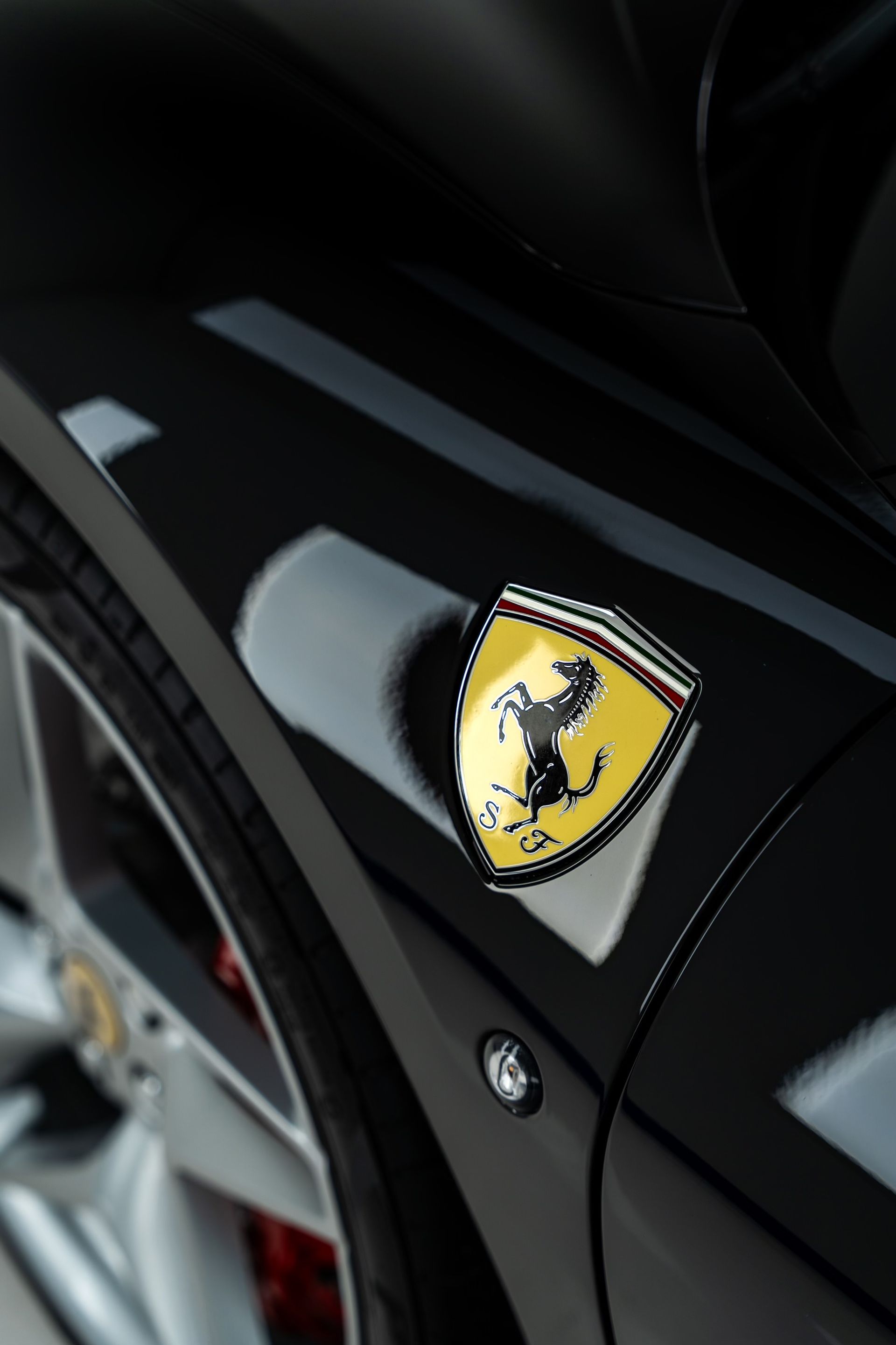 A close up of a ferrari logo on the side of a car