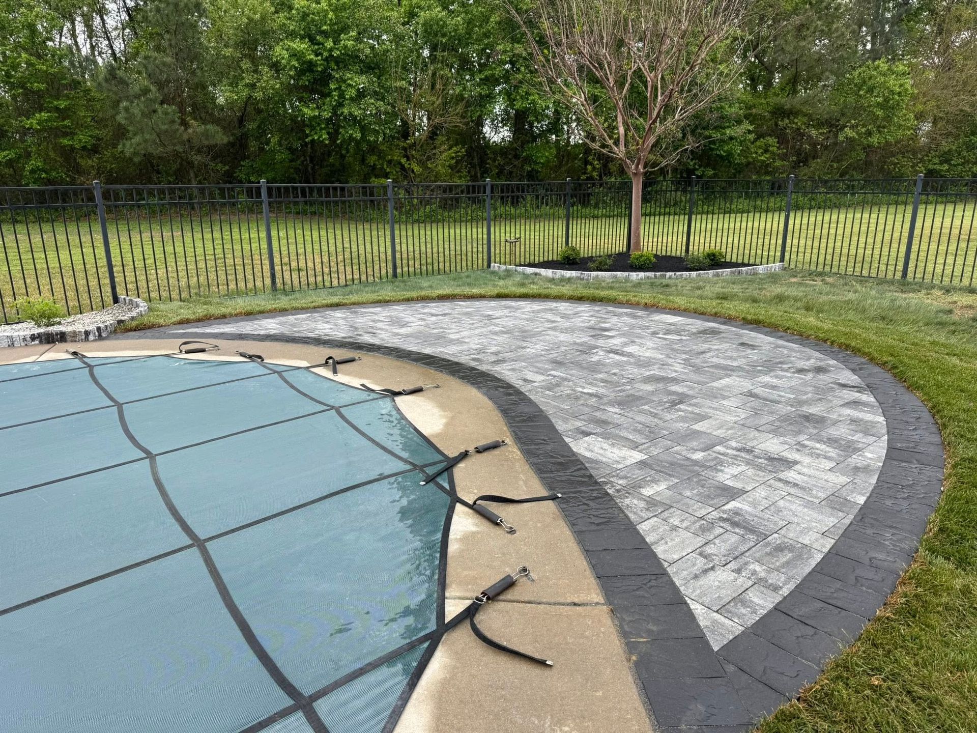 Curved poolside patio with blue water, gray pavers, and a black fence beside a grassy lawn.