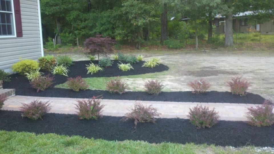 A lawn with a walkway , mulch and plants in front of a house.